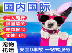 达州金垭机场邮寄国际宠物托运 【国